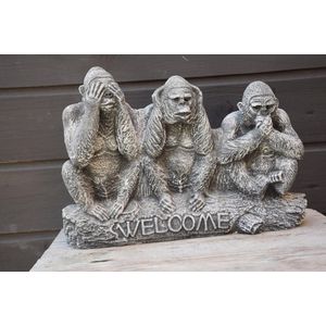Apen, Horen-Zien-Zwijgen, Welcome