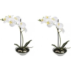 2x Kunstplanten in pot witte orchidee 38 cm - Vlinderorchidee/Phalaenopsis wit - Nepplanten