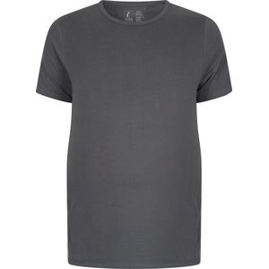 Alca ronde hals T-Shirt Ronde Hals Usa Grijs XXL | Grote maten |Buikmaat 121 -126 cm buikomvang | XXL