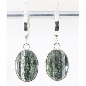 Hoogglans zilveren oorbellen met groene Zwitserse opaal