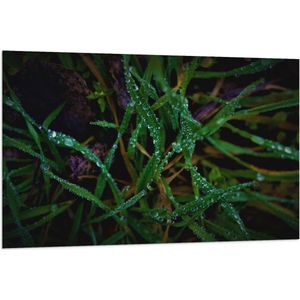 WallClassics - Vlag - Close-up van Groene en Paarse Grassen met Druppels - 120x80 cm Foto op Polyester Vlag