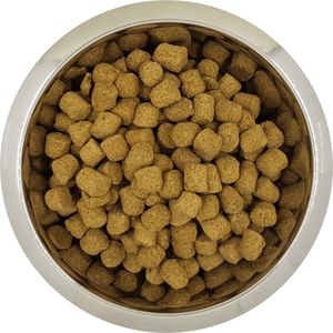 Yourdog Koningspoedel Rasspecifiek Adult Hondenvoer 6kg | Hondenbrokken