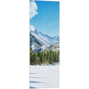 WallClassics - Vlag - Rij Bomen aan de Rand van Hoge Berg met Sneeuw - 40x120 cm Foto op Polyester Vlag