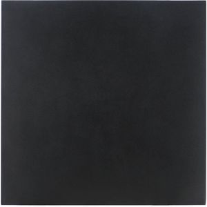 Livn infraroodpaneel Excellent 350 60x60cm zwart
