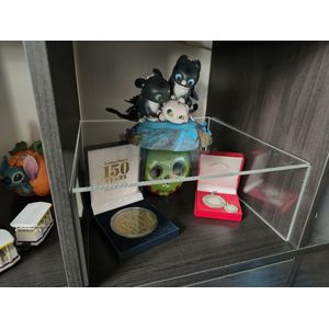 Ikea kallax plexi plank inzet - vitrinekast - stof preventie - geschikt voor kallax