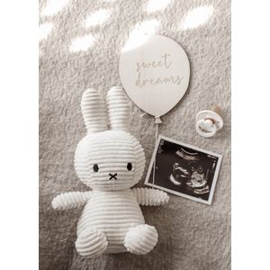 Zwangerschapsaankodiging - houten ballon - geboorte aankondiging - baby - social - wandhanger - decoratie - mijlpaal - Mommy musthaves