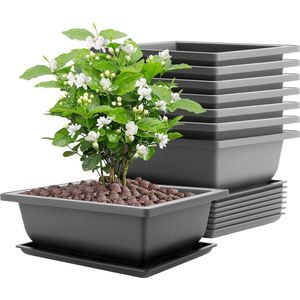Bonsai schaaltjes - 8 stuks - groot formaat - 225 x 165 x 75 cm - met onderzetter - kunststof plantenpot - binnen en buiten - bloempot - plastic - tuin - decoratie