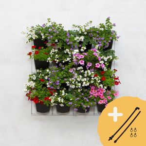 Mijn Verticale Tuin - Met Watersysteem - Voor Buiten - Compleet Startpakket (Medium) 60cm x 60cm - 16 Bakjes - Plantenbak aan de muur - Groene wand - Groene muur - Verticale Moestuin - Balkonbak - Plantenmuur - Muurtuin
