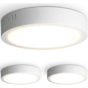 Set van 3 Indiana opbouwspots rond - 12 Watt 1160 Lumen - Wit - 2700K warm wit- LED downlight - IP20 stofdicht - 160mm