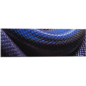 WallClassics - Vlag - Blauw Paarse Slangenhuid - 60x20 cm Foto op Polyester Vlag