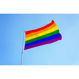 Regenboog vlag | 200 x 100 cm | Pride and predjudice | Gay Pride | Vlag met Koord en Lus | Gevelvlag