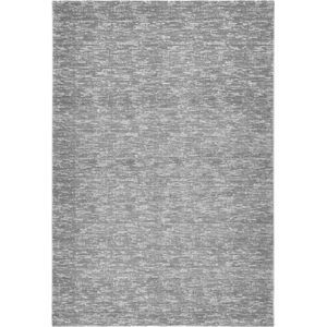 Lalee Palma | Modern Vloerkleed Laagpolig | Silver Ivory | Tapijt | Karpet | Nieuwe Collectie 2024 | Hoogwaardige Kwaliteit | 80x150 cm