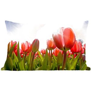Sierkussens - Kussen - Rode tulpen in de zon - 60x40 cm - Kussen van katoen