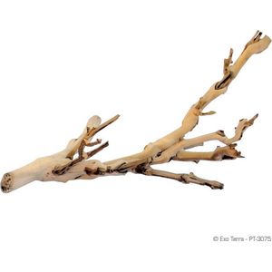 Exo Terra - Natuurlijke Decoratie - Reptielen - Ex Forest Branch S/30cm - 1st