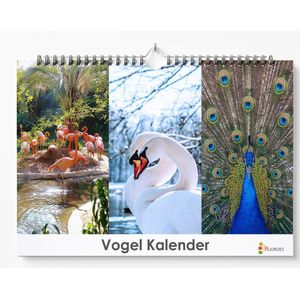 Vogel Kalender 35x24cm | Wandkalender | verjaardagskalender | Verjaardagskalender Volwassenen
