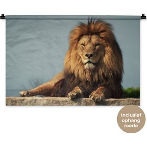 Wandkleed Leeuwen - Rustende leeuw op een rotsblok Wandkleed katoen 90x60 cm - Wandtapijt met foto