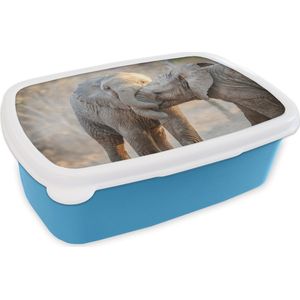 Broodtrommel Blauw - Lunchbox - Brooddoos - Olifanten - Knuffel - Afrikaans - 18x12x6 cm - Kinderen - Jongen