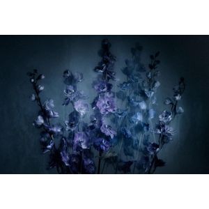 Smoking flowers IV – 90cm x 135cm - Fotokunst op PlexiglasⓇ incl. certificaat & garantie.
