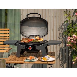 Elektrische BBQ Landmann Pantera Electric 2 Kw Zwart Draagbare BBQ