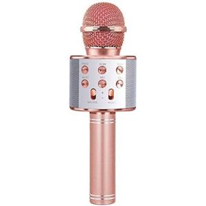 Microfoon Kinderen Speelgoed - Microfoon Kinderen Karaoke - Microfoon Bluetooth Kids - Champagne