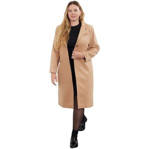 Trendyol Beige Regular Fit Dikke Kasjmier Jas Tbbaw25Dd00007