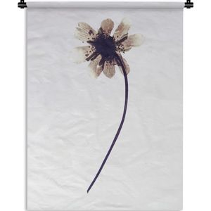 Wandkleed Gedroogde bloemen - Gedroogde bloem op witte achtergrond Wandkleed katoen 90x120 cm - Wandtapijt met foto