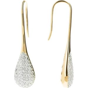 Fancy Drop Shape dangle earrings WSBZ01236YY