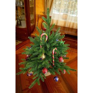Kunstkerstboom – Premium kwaliteit - realistische kerstboom – duurzaam ‎90,5 x 19 x 19 cm
