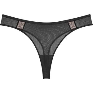 Triumph String Palina Cosmic Heartbeat String