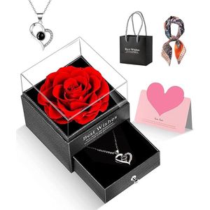 Eeuwige roos Infinity Roses with I Love You Collier Cadeau voor vrouw, moeder, oma, vrouw, vriendin, zus, echte geconserveerde roos, cadeau voor haar, rozenbox voor feest