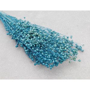 Droogbloemen - Vlas - Linum Usitatissimum - Parijs Blauw | 50cm | +- 100g | Perfect voor Boeketten, Decoratie, Doopsuiker, Huwelijk & Verjaardagen | Duurzaam en Stijlvol Bloemenarrangement