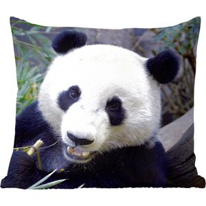 Sierkussens - Kussentjes Woonkamer - 40x40 cm - Panda - Dier - Bladeren