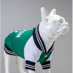 Lindo Dogs - Hondenjas - Hondenkleding - Honden sweatshirt - Boston - Groen - Maat 8