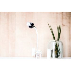 Tulp Zwart Wit - Glazen Tulpen - Bloemen - Tulpen van Glas - Roos van Glas - Glazen Bloemen