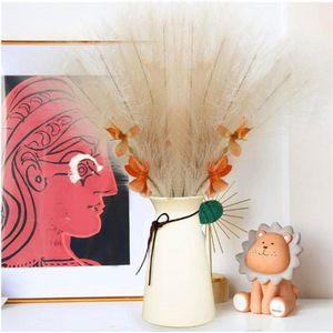 Pampasgras Set van 5 Stuks – Gedroogd Crèmekleurig Pampasgras voor Boho Woonkamer en Slaapkamer Decoratie – Perfect voor Vazen en Interieuraccessoires