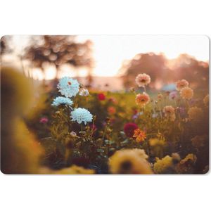 Bureau mat - Kleurrijke Bloemen - 60x40