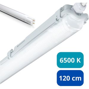 Proventa LED TL armatuur met lamp 120 cm - Koud wit licht 6500 K - Waterdicht - Complete set