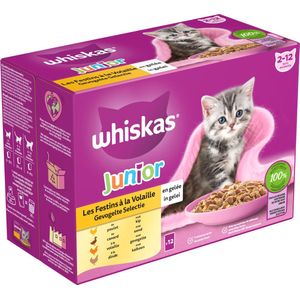 Whiskas Junior Multipack Gevogelte Selectie in Gelei 12 x 85 gr