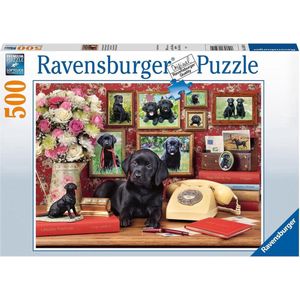 Ravensburger - Legpuzzelpakket - 3 x 500 stukjes - Paard tussen de bloemen, Katje in kopjes en Mijn trouwe vrienden