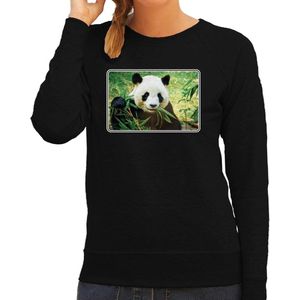 Dieren sweater met pandaberen foto - zwart - voor dames - natuur / panda cadeau trui - kleding / sweat shirt XL