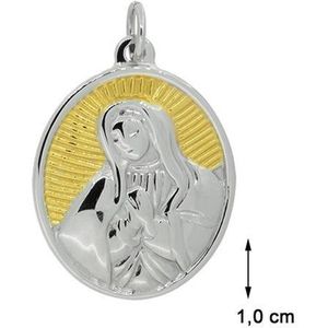 Blinx Jewels Stalen Hanger Maria