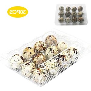 30-stuks kwarteleitjesdozen - plastic transparante eierdoos voor kwarteleitjes .