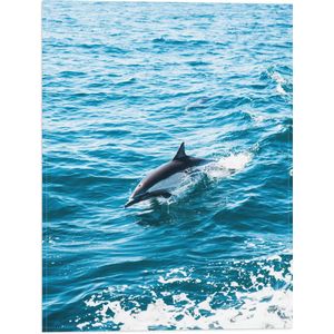WallClassics - Vlag - Dolfijn Zwemmend in de Zee - 30x40 cm Foto op Polyester Vlag