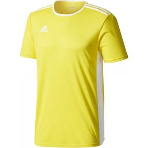 Adidas Entrada 18 Shirt Korte Mouw Kinderen - Geel / Wit | Maat: 116