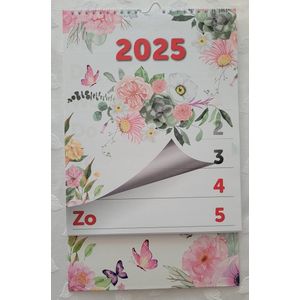 LIBOZA – Week-wandkalender XL 2025 - Met Eco Pen - Superkalender - Grote letters voor slechtzienden / ouderen / Studenten Veel Schrijfruimte - Spiraal - Ophanghaakje - Stevig Kartonnen Achterkant - Cadeau - Verjaardag - Voor je moeder/Voor je vader