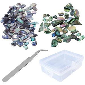 Set van 2 Verpakkingen Abalone-schelpen (80 g) inclusief Pincet en Opbergdoos - Voor Knutselen, Schelpsieraden en Decoratie