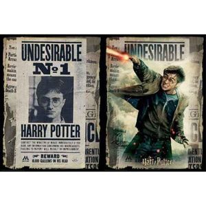 Puzzel Harry Potter Wanted (500 pcs)