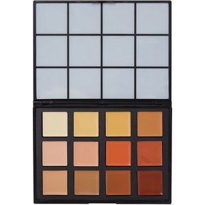 Global Colors Coverup FX – 12 Colour Face & BodyArt Palette