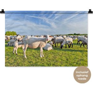 Wandkleed Schaap - Net geschoren kudde schapen Wandkleed katoen 60x40 cm - Wandtapijt met foto