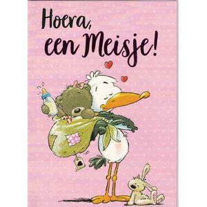 Wenskaart A4 - wenskaart XL - Geboorte dochter - gefeliciteerd met jullie dochter - geboorte meisje - hoera een meisje